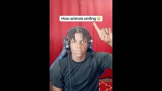 How animals smiling 😳 #fypage #fyp #fypシ #viral #viralvideo #viralshorts #animals