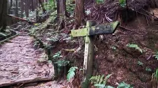 Di27ちょこっと登山・・ダイトレその２、ＮＴＴ道路分岐点から葛城山方向へ（撮影日2021年10月26日）