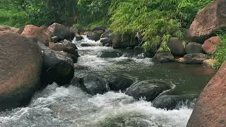 Peaceful Flow of a Forest River &ndash; Relaxing Nature Audio for Healing Sleep and Mindfulness
