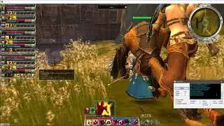 Guild Wars Chest Bot
