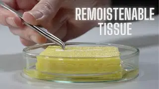 Remoistenable Tissue