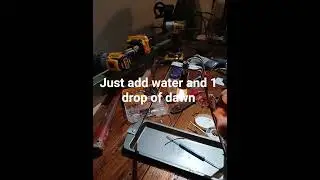 flea trap