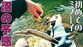 【エリアトラウト】クリアポンドでミノーイングへの目覚め【釣り】