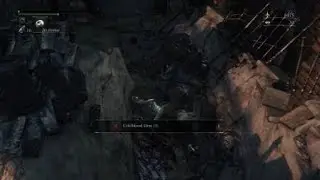 How to lose 300K Blood Echoes like a tard