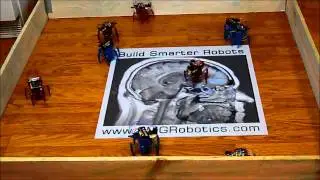 EMGRobotics HexBug(tm) Superbowl - Red Giants Vs Blue Patriots