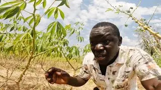 FACE TO FACE WITH SNAKE IN THE BUSH. 😭 😭(Thank God For Another Life)