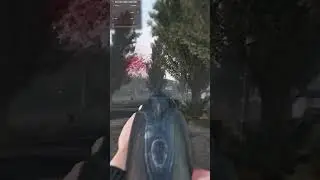 The Bizarre Physics of Stalker Anomalies