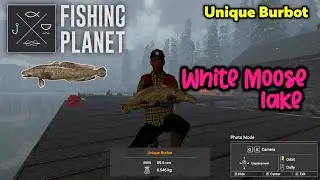 Unique Burbot White Moose Lake - Fishing Planet
