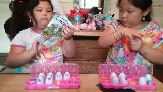 HATCHIMALS colleggtibles one dozen