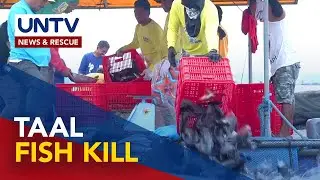 Hundred metric tons of fish lost to Taal fish kill