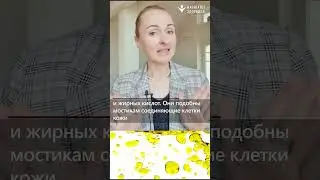 ЗАЧЕМ ЦЕРАМИДЫ  КОЖЕ? #shortvideo #shorts #short