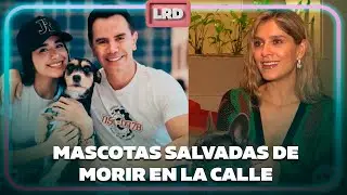 Jhonny Rivera, Laura Tobón y más famosos presentan sus mascotas adoptadas - La Red | Caracol TV