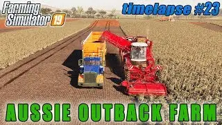 Harvest 44 acres of potatoes | FS 19 | Aussie Outback Australia Farm | Timelapse #23
