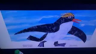 Panda Bear/Eagle/Water Buffalo/Monkey/Turtle/Penguin/Sea Lion/Wolf/Crane/Black Panther (2005)