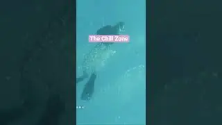 The Chill Zone, Deep Blue Sea Relaxing Music,