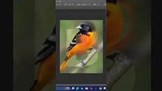 How. Add   Text    Bird . Effect. In.  Photoshop. #short