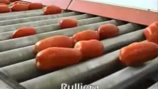 AGRIMAT SRL - Tomato pear: mechanics sizer