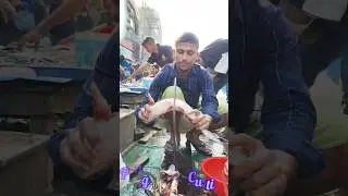 Incredible Pangas Fish Cutting Techniques | Amazing Fish Cutting Skills
