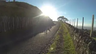 one tree hill summit freeride