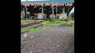 #Local#Harbourline#latestupdate