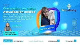 Coronavirus en gatos: Actualización médica