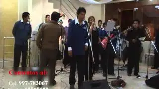 Agrupaci&oacute;n musical 