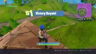 VINTAGE Fortnite! (0 damage taken)