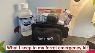 What I keep in my Ferret Emergency Kit