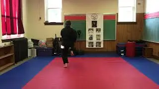 Gekisai Dai Ni - Shinko Niyotte Karate - Nathan Shults