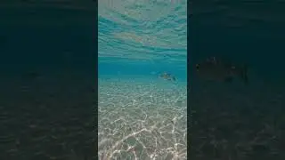 Amazing Crystal Clear Water #beautiful #ocean #nature