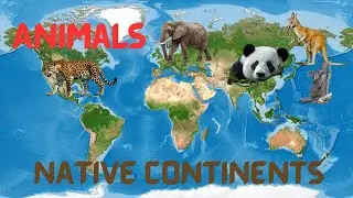 30 Animals &ndash; Guess Their Native Continent! 🌎 | Easy MCQ Geography Quiz Questions