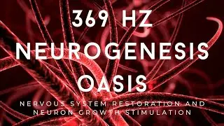 369 Hz - Neurogenesis Oasis: Nervous System Restoration and Neuron Growth Stimulation!  | 4K