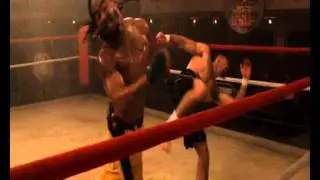 The Undisputed Highlight