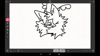 MOTH CAT