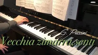 Vecchia zimarra, senti, Karaoke, Colline, La Boh&egrave;me, Accompaniment