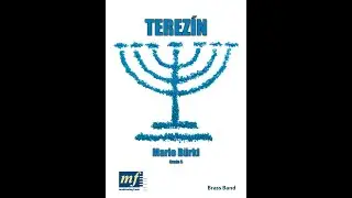TEREZÍN - Mario Bürki