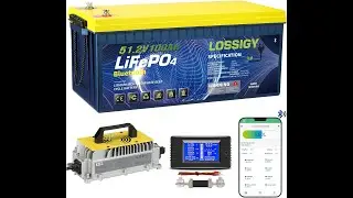Review: LOSSIGY 48V Lithium Golf Cart Battery &ndash; 100 Ah & 1000A Peak