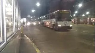 Coach USA Buses Leaving PABT!