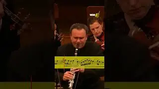 This #clarinet melody goes to heart 💓 #classicalmusic