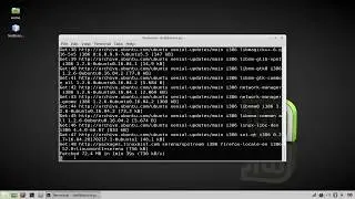 How to update and upgrade packages on linux mint