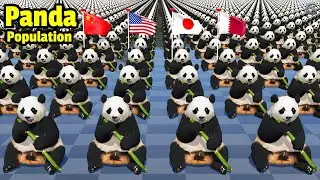 Panda Population by Country 2025 | Comparison Video