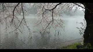 JAPANESE LANDSCAPE～Wait For Spring