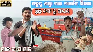  ଓଡ଼ିଶାର ବୋହୁତ ବଡ଼ ମାଛ ମାର୍କେଟ Paradeep ‼️ Odisha Largest Big Fish Center ‼️
