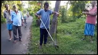 monochol cobra rescue and transfer to for release by forest officer