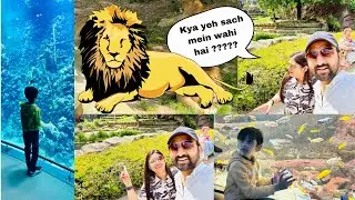 Antwerp Zoo visit with family | Part 2 | Lion sighting | Aquarium | #poojaandvikrant #dailyvlog