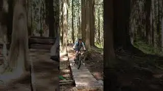 Black Dawg Jump Line | Burke Mountain #mtb