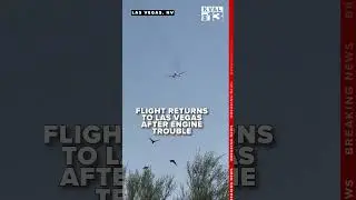 American Airlines flight returns to Las Vegas due to engine trouble
