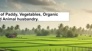 Cultivation of Paddy, Vegetables, Organic farming and Animal husbandry