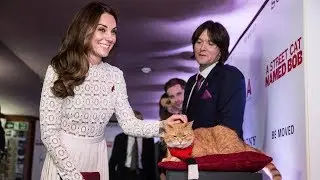 Der ber&uuml;hmte Kater 