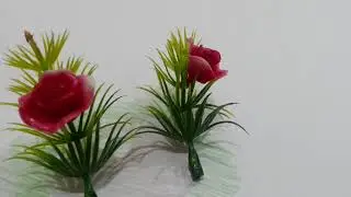 My Lovely Planet